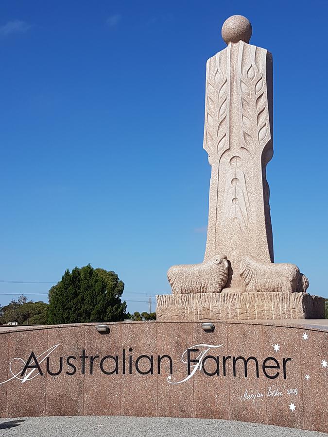 Wudinna Farm View Exteriér fotografie